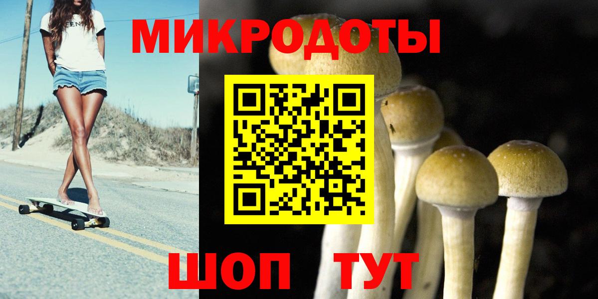 Псилоцибиновые грибы мухоморы  Псилоцибиновые грибы Psilocybine cubensis  Вход с VPN  Муравленко 