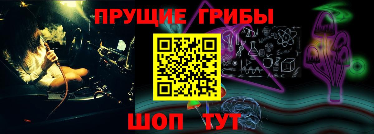Псилоцибиновые грибы Psilocybe Муравленко